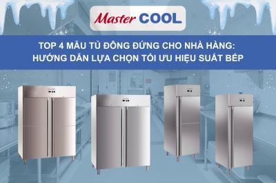 TOP 4 MẪU TỦ ĐÔNG ĐỨNG CHO NHÀ HÀNG: HƯỚNG DẪN LỰA CHỌN TỐI ƯU HIỆU SUẤT CHO KHU BẾP